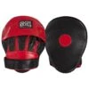 Cleto Reyes Pantera Curved Strapped Focus Mitts -Geezers Boxing Shop reppm2 bk rd 2