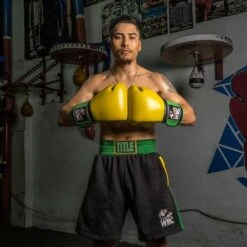 TITLE Boxing WBC Jose Sulaiman Training Gloves -Geezers Boxing Shop title boxing wbc training gloves 5